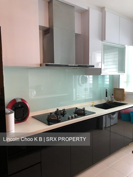 Blk 282A Sengkang East Avenue (Sengkang), HDB 4 Rooms #194924042